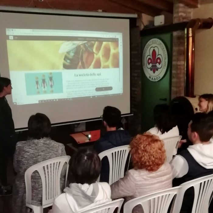 telo e proiettore